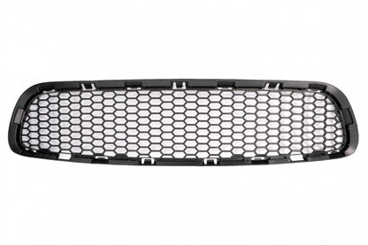 Front Bumper Central Lower Grille for BMW 5 Series F10 F11 M5 (2009-2017)